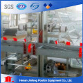 Chicken Layer Cages Henan Jinfeng Automatic Cages